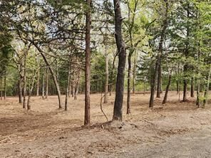 Property Photo: 0 County Road 4710 Lot 465 TX 75770