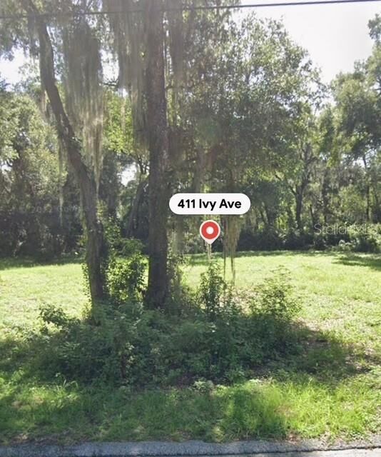 Property Photo:  411 Ivy Avenue  FL 32724 