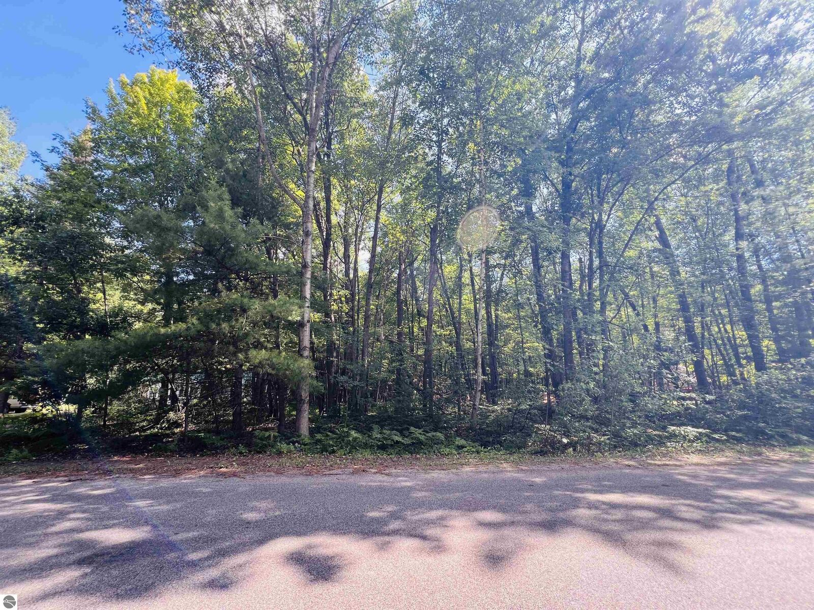 Property Photo: Lot 789 Redwine MI 48653