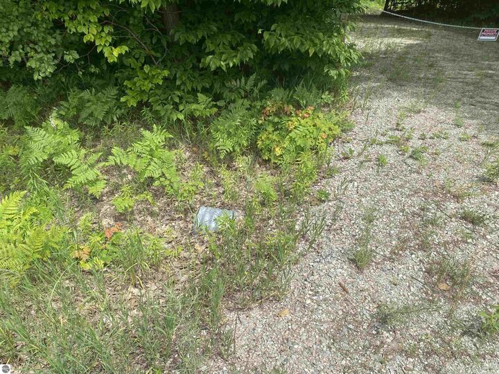 Property Photo:  Green Briar Road  MI 49650 