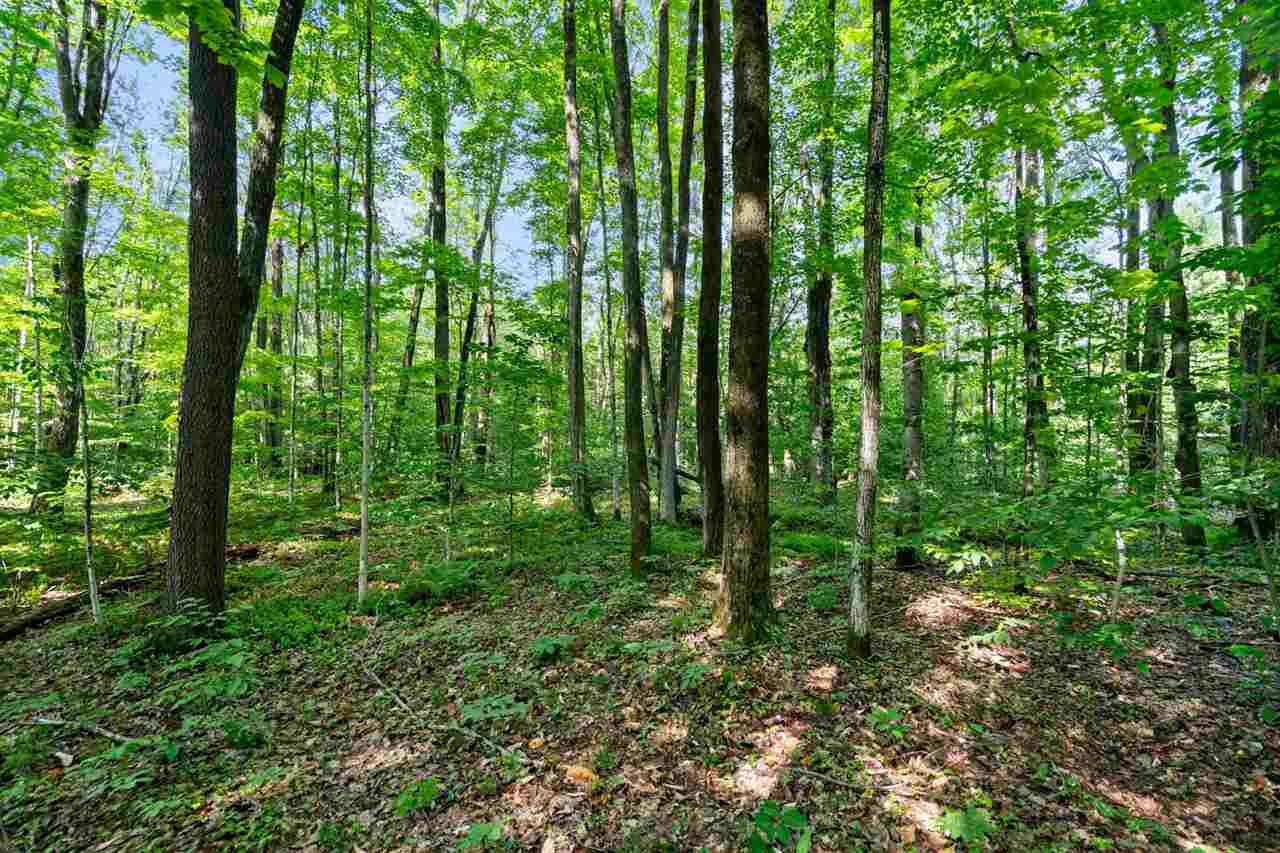 Property Photo:  8719 Springridge  MI 49770 