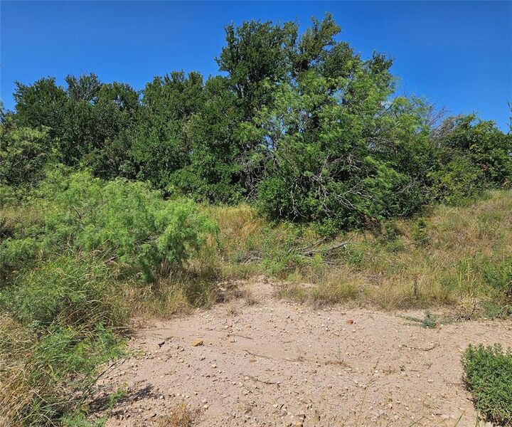 Property Photo:  0 Blue Fathom Drive  TX 76426 