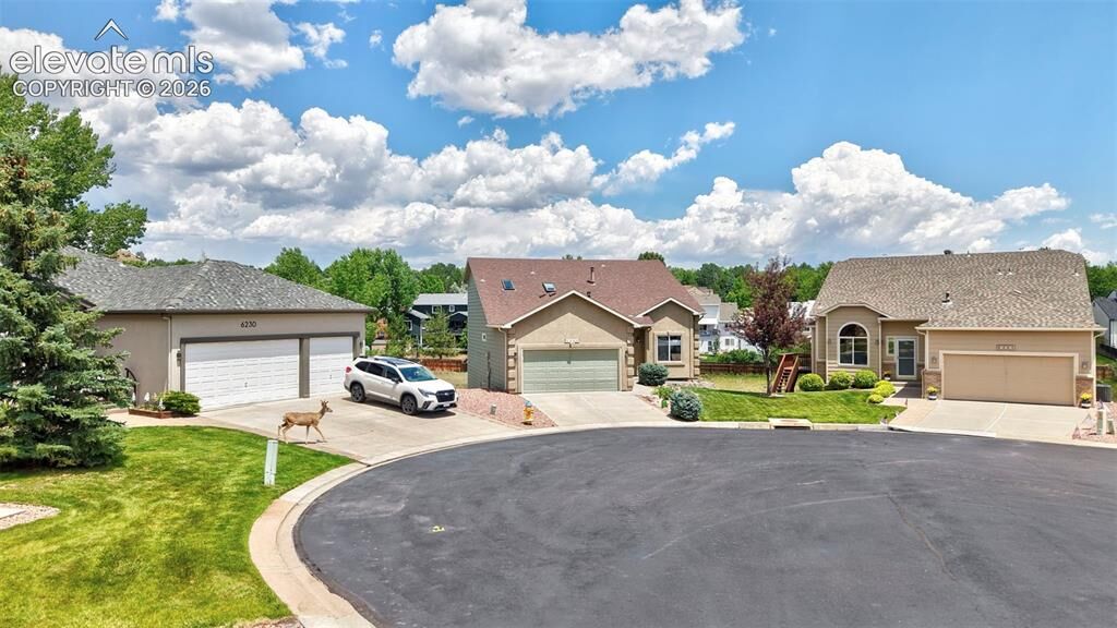 Property Photo:  6240 Viewfield Heights  CO 80919 