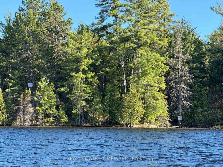Property Photo: Boat Access On Mason Island ON P0M 1A0