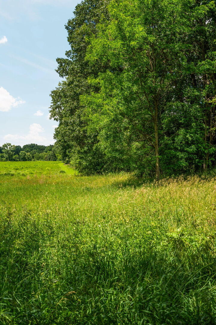 Property Photo: 18250 Bush Road MI 48118
