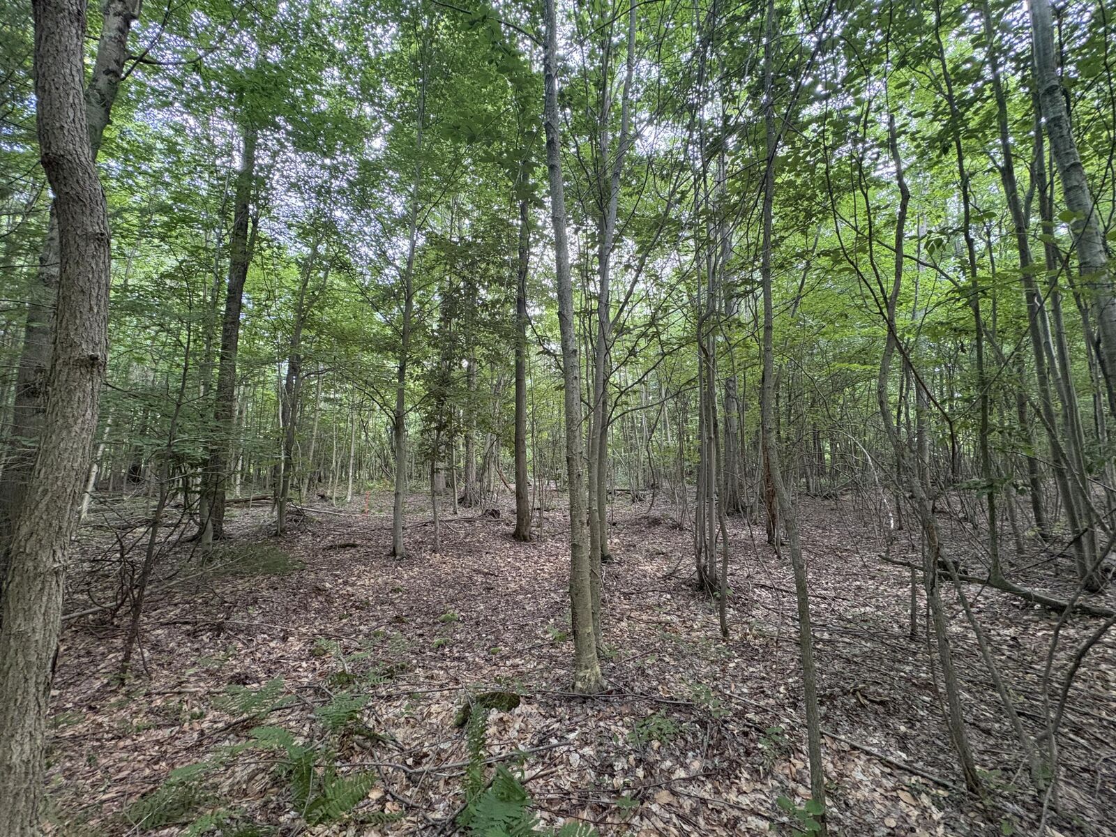 Property Photo: 109th Avenue MI 49450