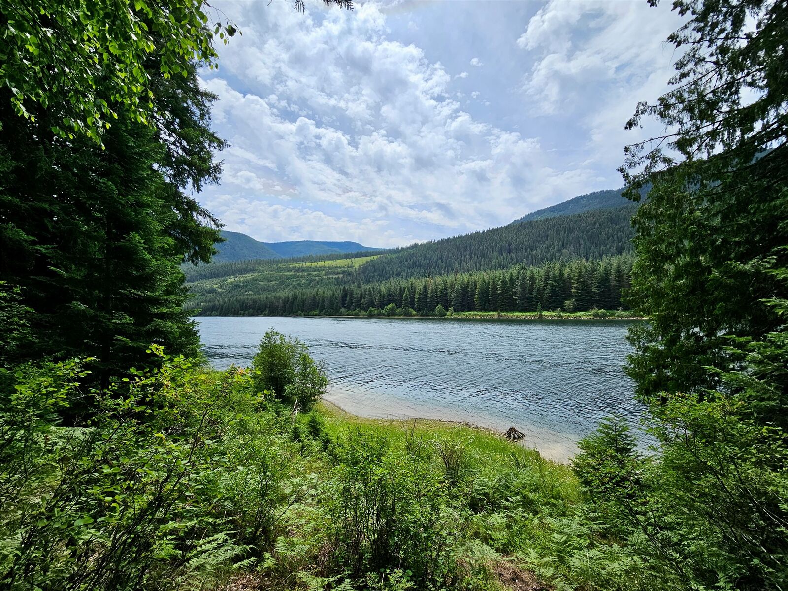 Property Photo:  39 Hay Lane  MT 59853 