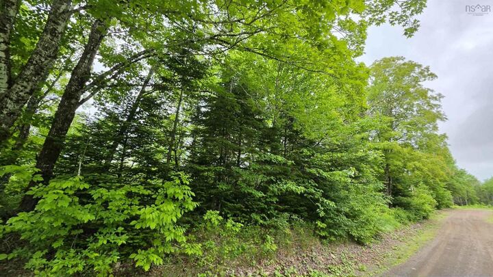 Lot2-1 Ohio East Side Road — photo 1