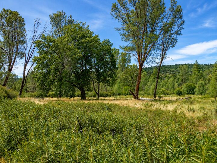 Property Photo:  Battle View Drive  CA 96059 
