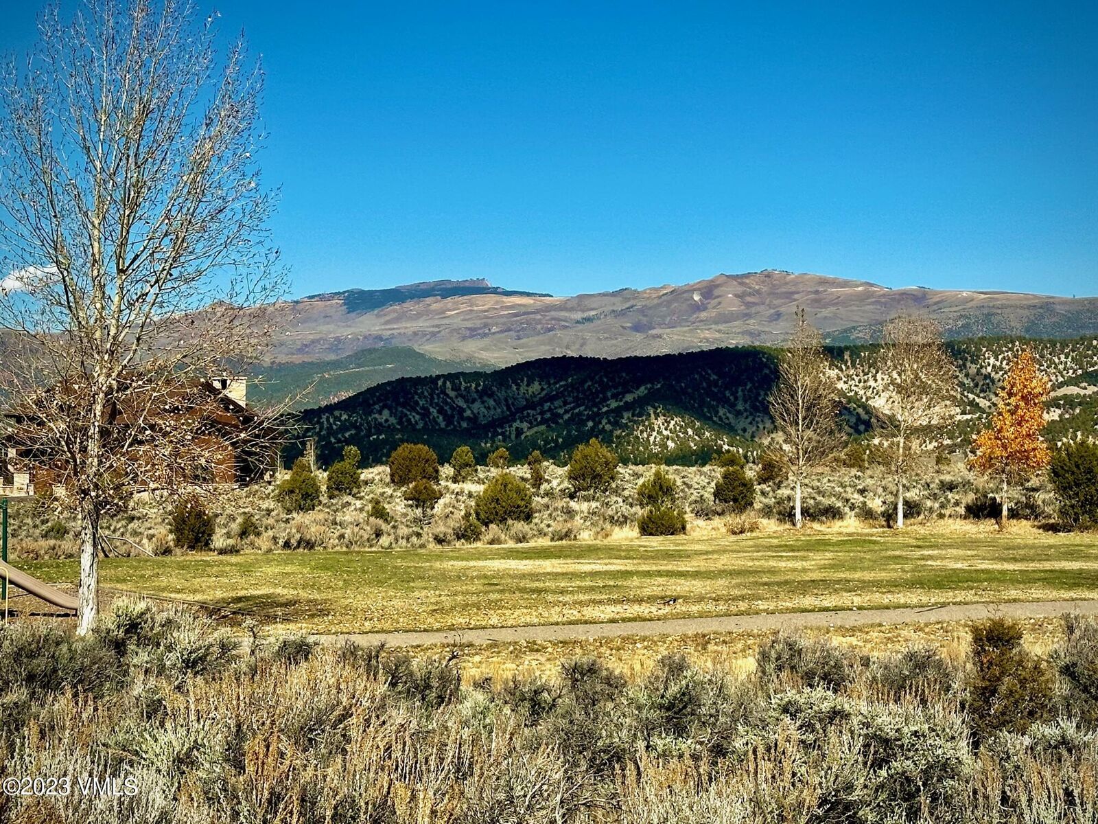 Property Photo:  1509 E Haystacker Drive  CO 81631 