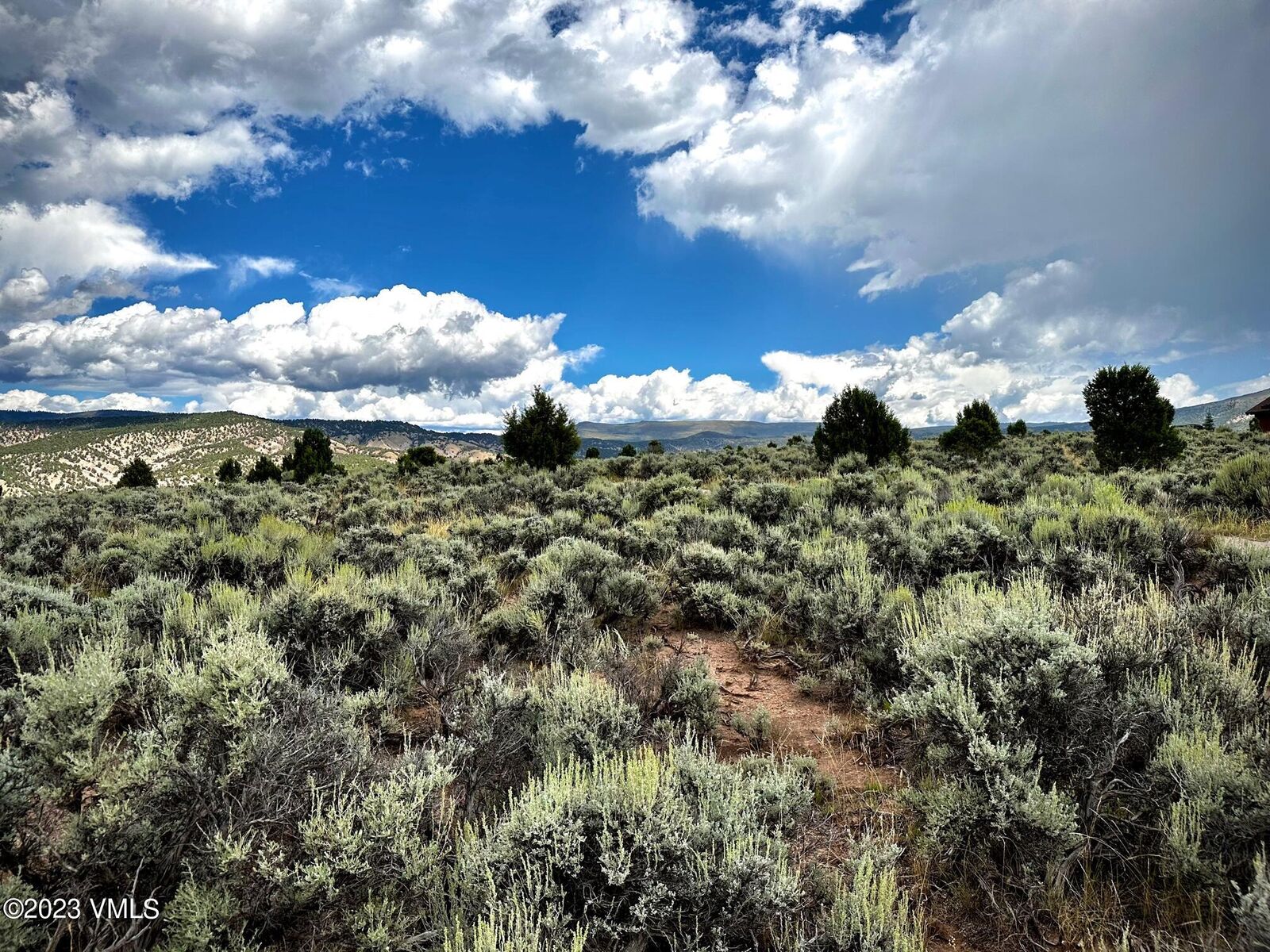 Property Photo:  1351 E Haystacker Drive  CO 81631 