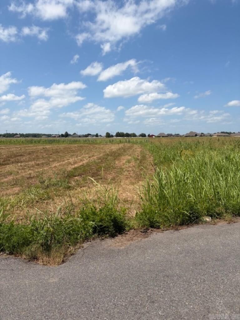 Property Photo:  Lot 11 Upper Steel Bend Road  AR 72142 