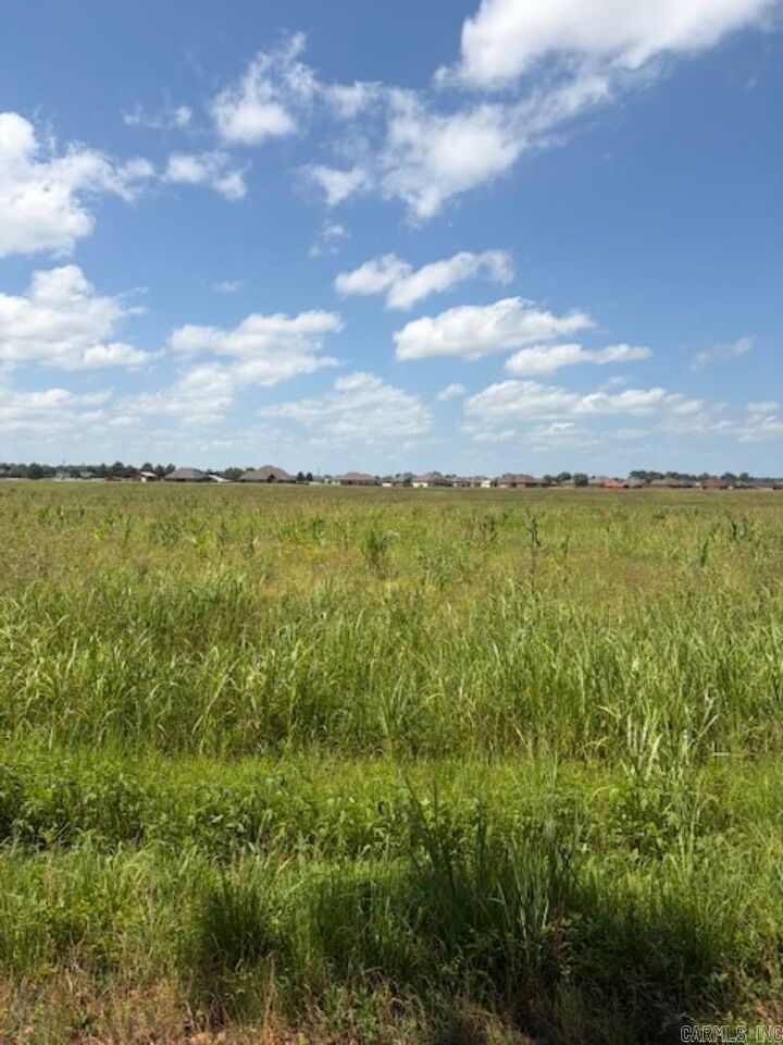 Property Photo: Lot 8 Upper Steel Bend Road AR 72142