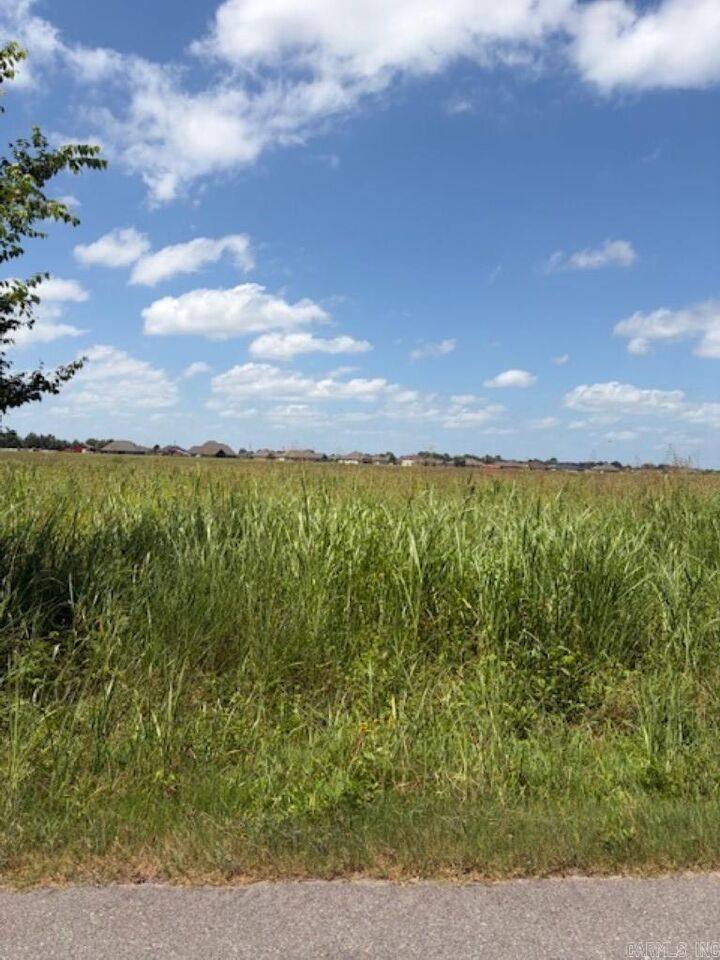 Property Photo: Lot 2 Upper Steel Bend Road AR 72142