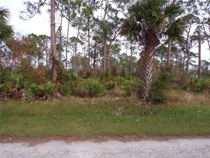 Property Photo: 13338 Wedgewood Drive FL 33955