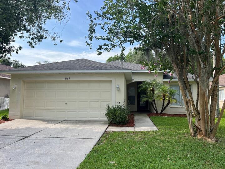 Property Photo:  18169 Sandy Pointe Drive  FL 33647 