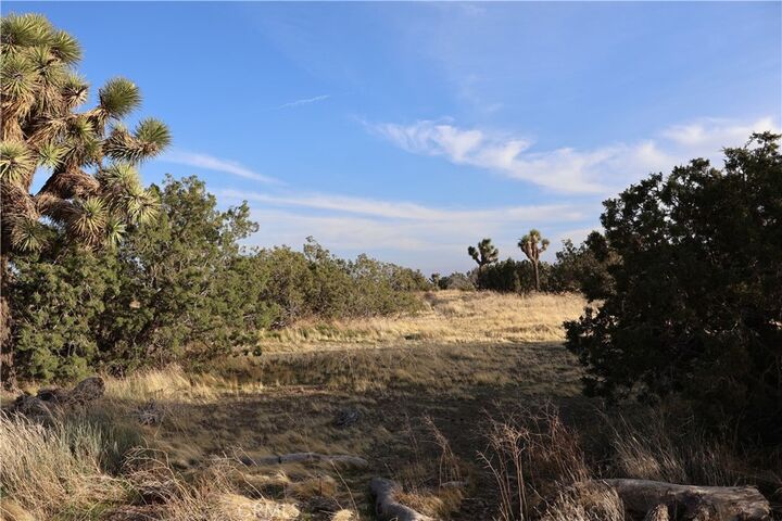 Property Photo:  9955 Macron Street  CA 92344 