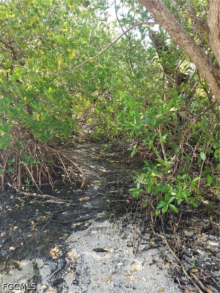 Property Photo: Tbd Masters Landing Drive FL 33956