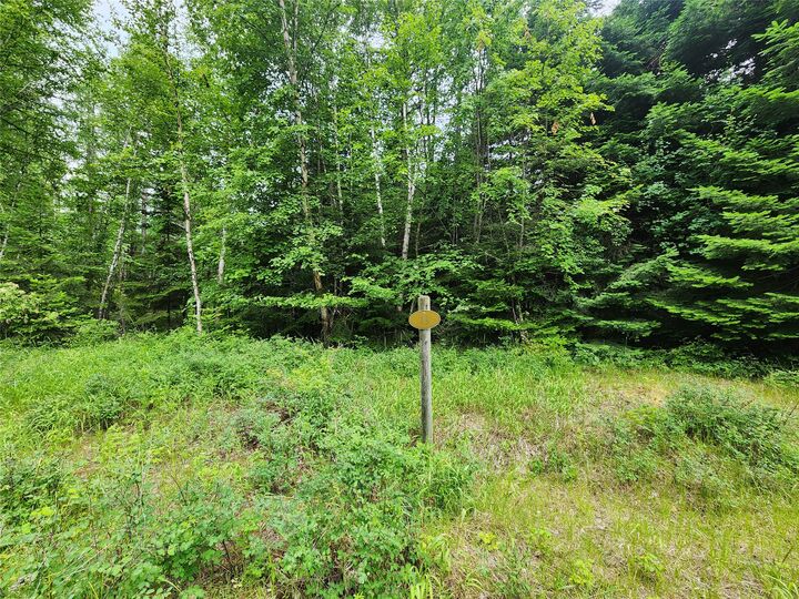 Property Photo:  13727 Big Hawk Drive  MT 59911 