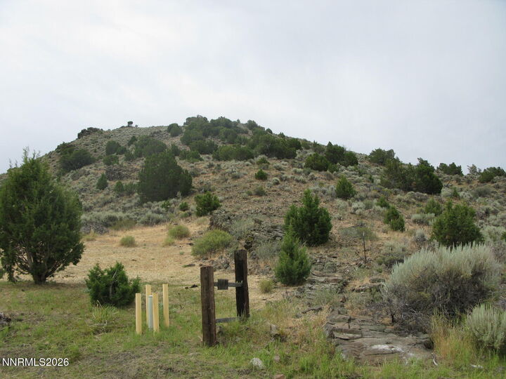 Property Photo: 705 Pah Rah Springs Road NV 89510