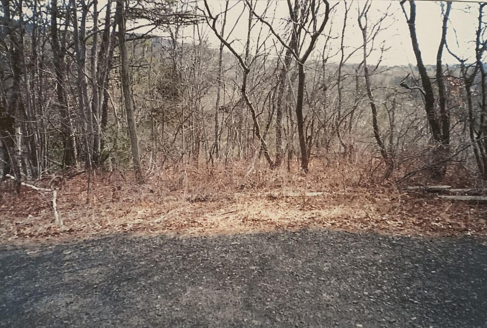 Property Photo: 88 Beaver Lane PA 18301