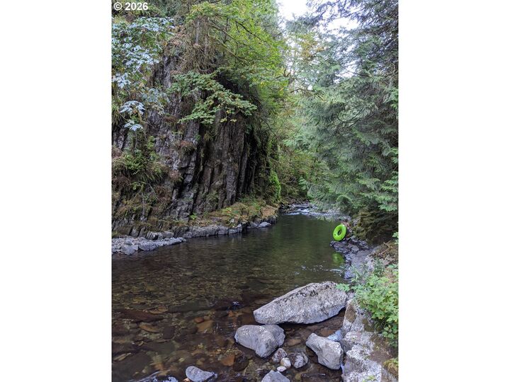 Property Photo:  1241 N Fork Rd  WA 98671 
