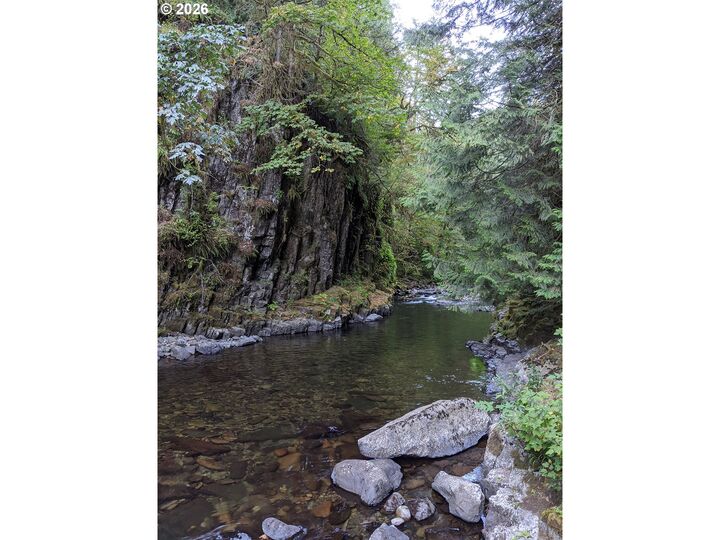 Property Photo: 1241 N Fork Rd WA 98671