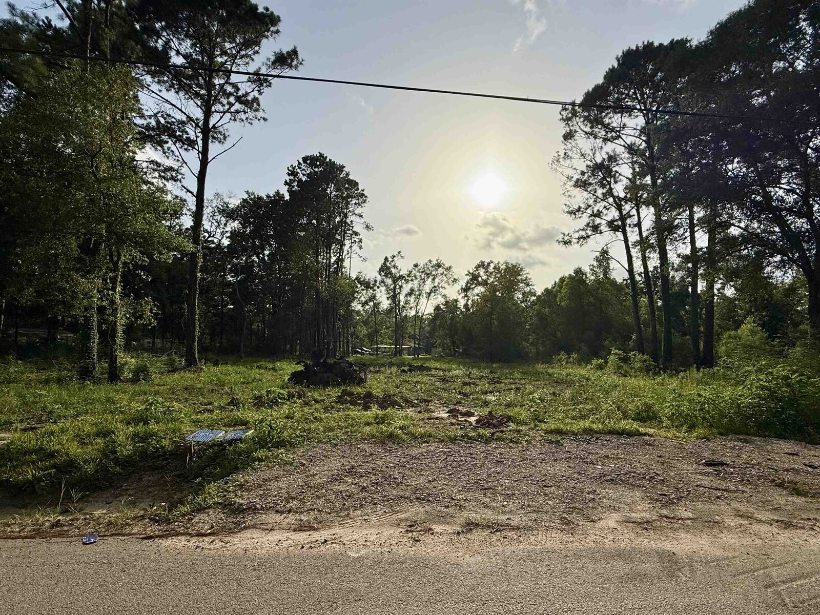 Property Photo:  11895 Cooks Lake Road  TX 77657 