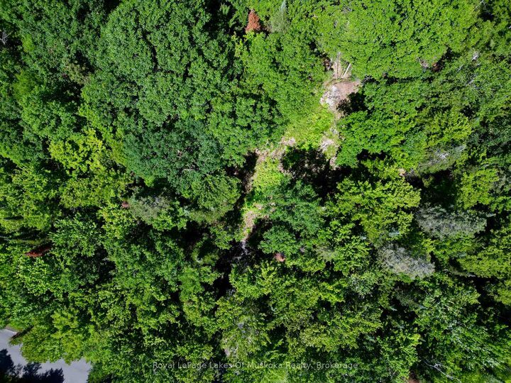 Property Photo: Lot 6 Fairy Falls Road ON P0B 1A0