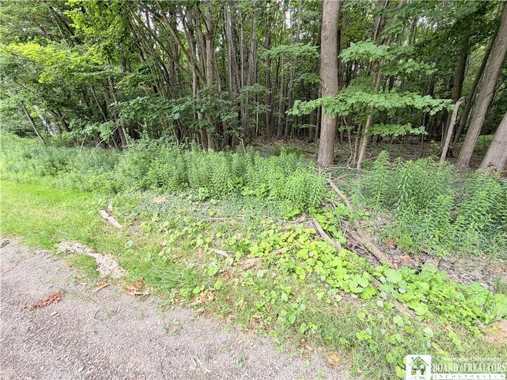 Property Photo:  0 Panama-Stedman Road  NY 14757 