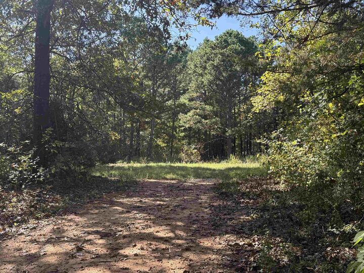 Property Photo: 196 Gorby Road AR 72519