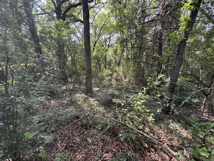 Property Photo:  000 N Montgomery Street  AR 72830 