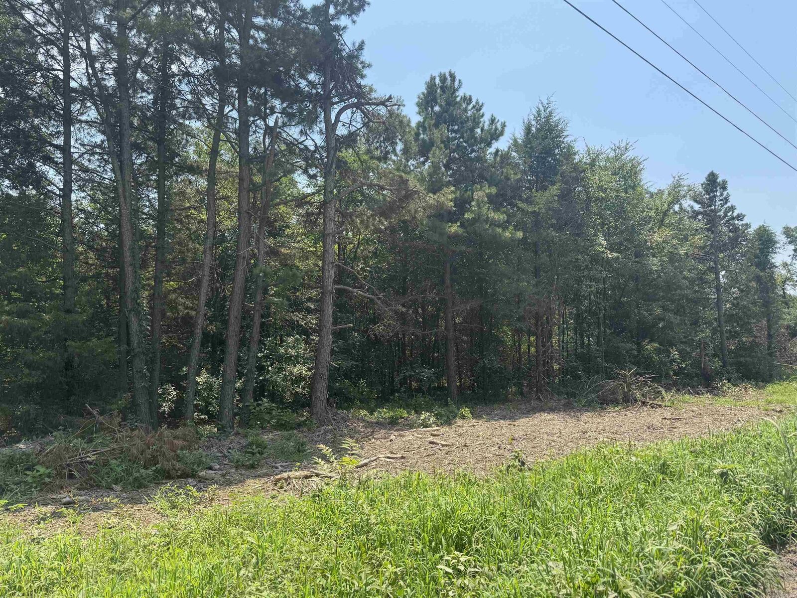 Property Photo:  2.75 Acres Cr 2141  AR 72832 
