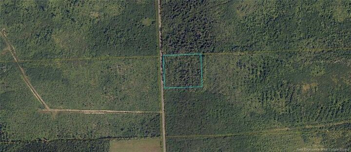 Lot Richard Village Road — photo 1