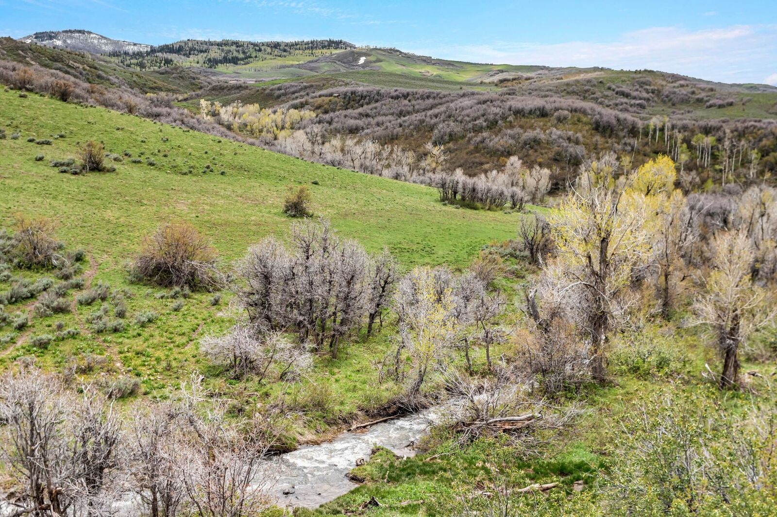 Property Photo:  Tbd County Road 80  CO 81639 