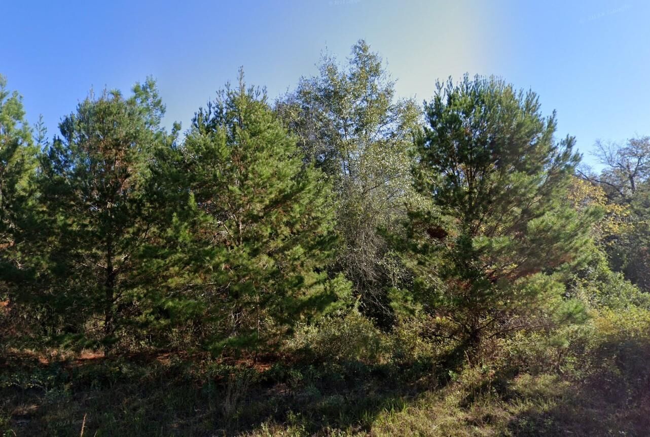 Property Photo: Parkview Lot 13 Drive FL 32428