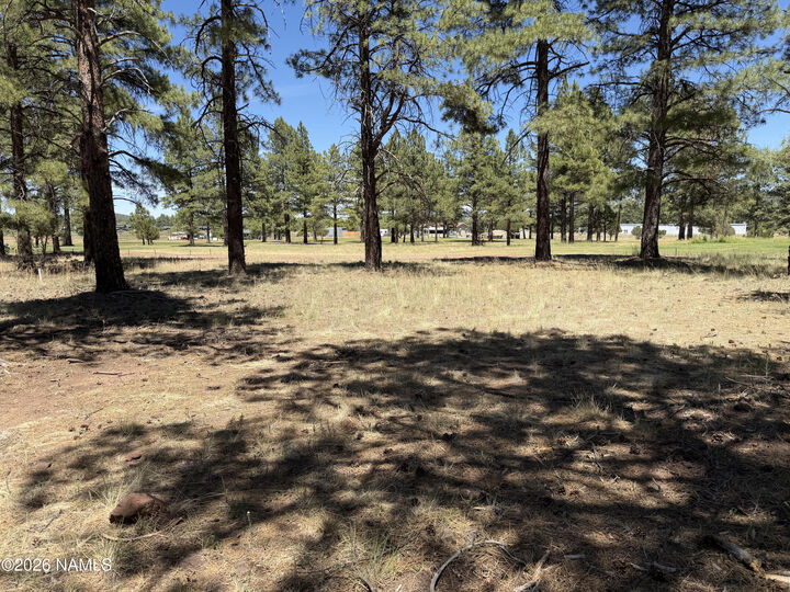Property Photo: 467 S Highland Meadows Drive AZ 86046
