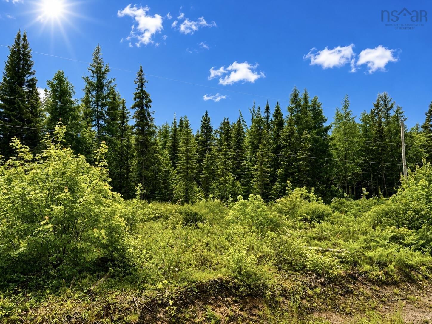Property Photo:  0 Big Farm Road  NS B0E 1B0 