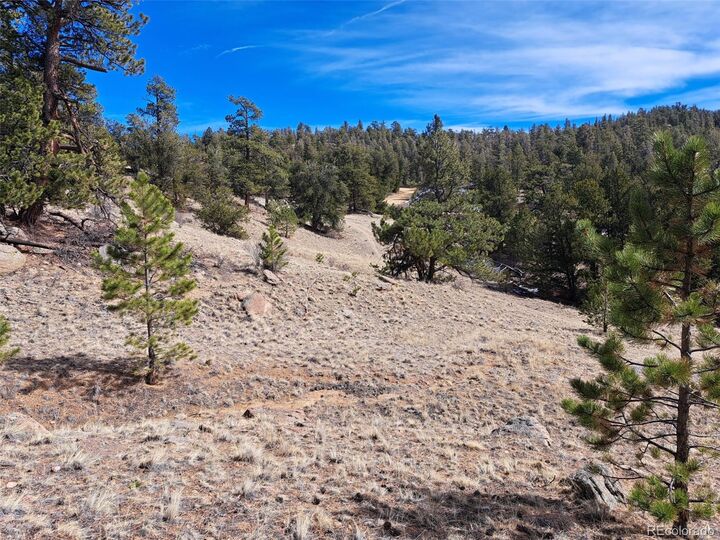 Property Photo:  369 Summit Road  CO 80449 