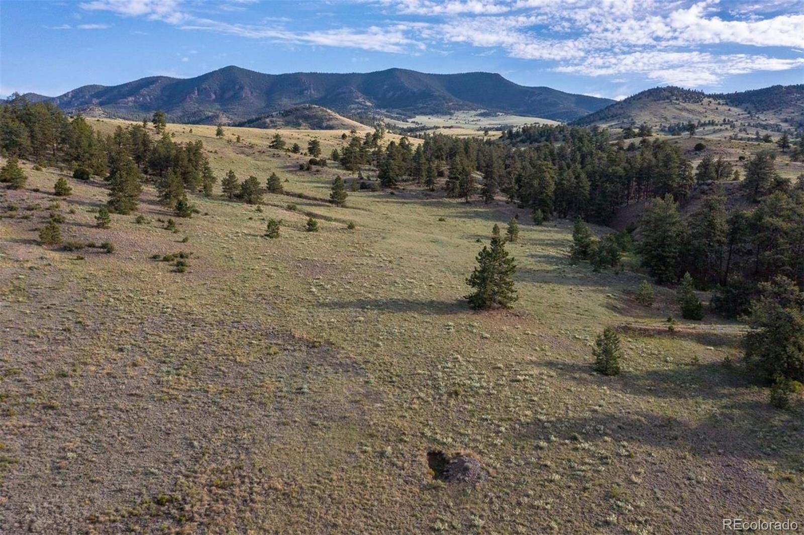 Property Photo:  0 Big Buck Road  CO 80820 