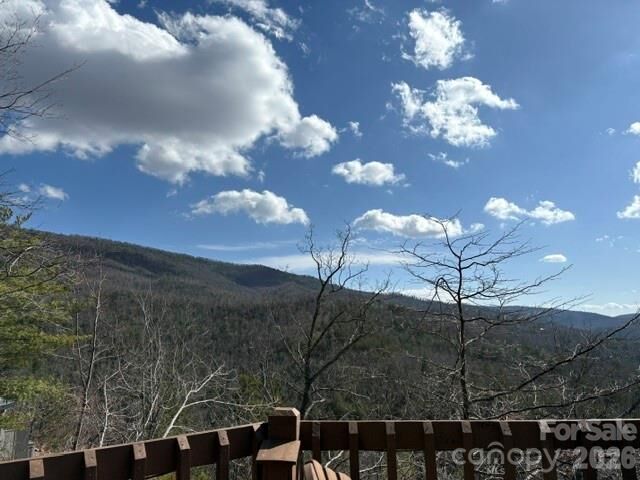 Property Photo:  452 Wilderness Drive  NC 28752 