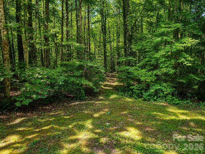 Property Photo:  49 Trillium Trail  NC 28761 