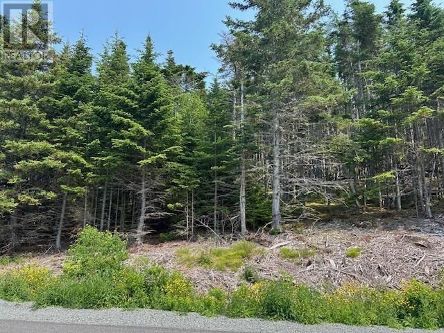 Property Photo:  Soldiers Cove Road  NS B0E 3B0 