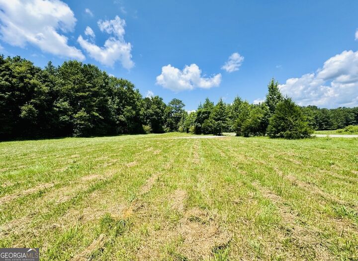 Property Photo:  0 Willowood Road  GA 30241 