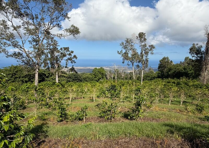 Property Photo:  73-4245 Hawaii Belt Rd  HI 96740 