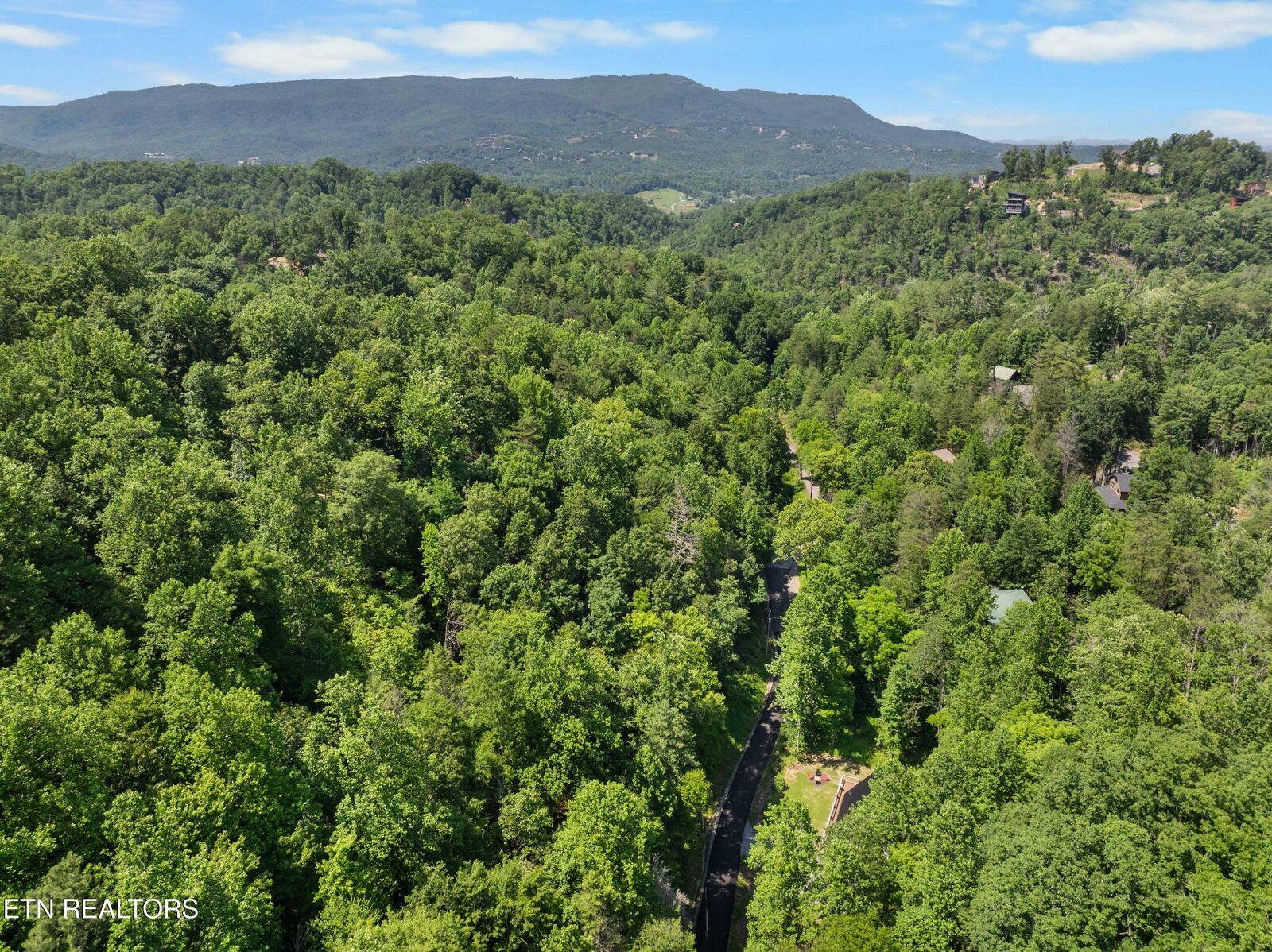 Property Photo:  Lot 0039 Black Walnut Flats Rd  TN 37862 