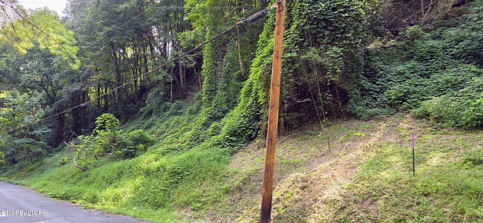 Property Photo:  Lot 0039 Black Walnut Flats Rd  TN 37862 