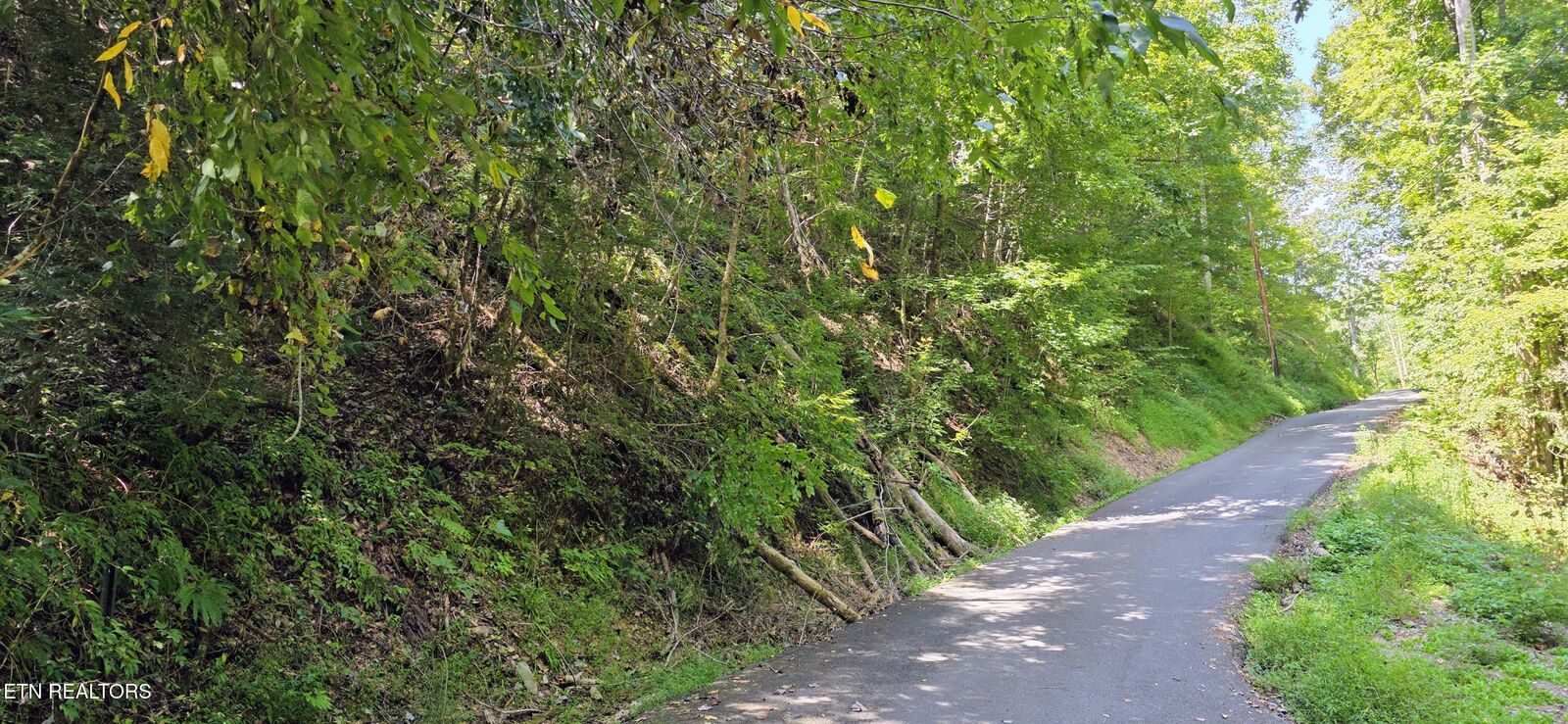 Property Photo:  Lot 0005 Sugar Maple Loop Rd  TN 37862 
