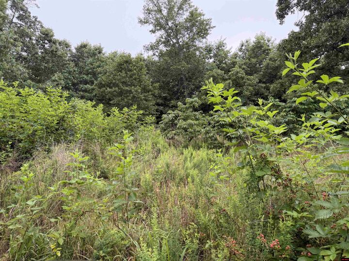 Property Photo: Off Of Morgan Cave Road AR 72601