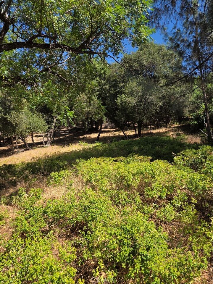 Property Photo:  4860 Cascade Way  CA 95451 
